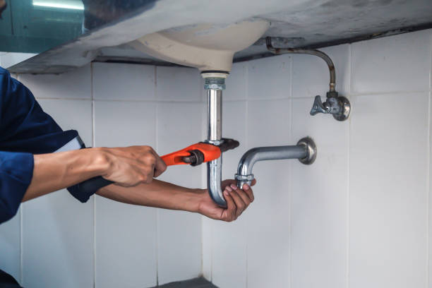 Best Plumbing Services Near Me  in Ahuimanu, HI