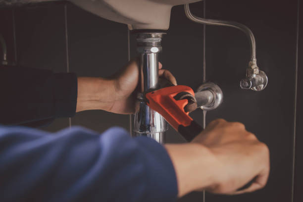 Best Clogged Drain Plumber  in Ahuimanu, HI